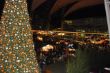 DSC_0397.JPG