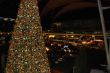 DSC_0400.JPG