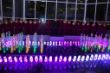 DSC_0187.JPG